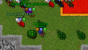 Kanuva on screen