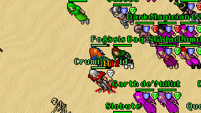 Crumi'Druid on screen