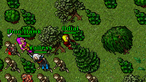 Odial on screen