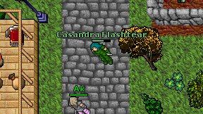 Casandra Flashtear on screen