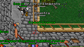Healer of Elements on screen