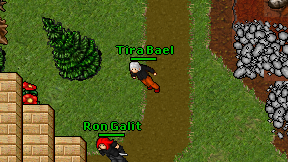 Tira Bael on screen
