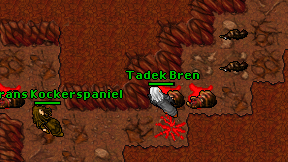 Tadek Bren on screen