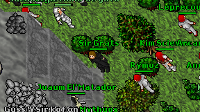 Sir Grats on screen