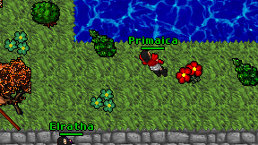 Primaica on screen