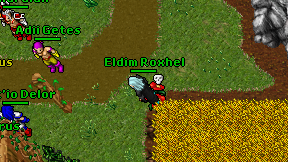 Eldim Roxhel on screen