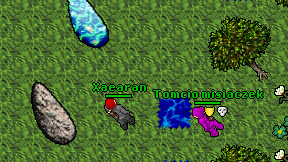Xaearan on screen