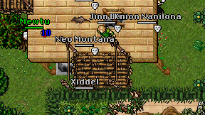 Xiddel on screen