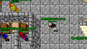 Jankowiczcz on screen