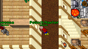 Polisch Master on screen