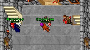Exantom on screen