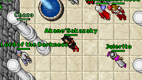 Akane'Sakazaky on screen