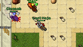 Lost Naja on screen