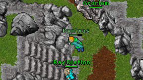 Dyn'was on screen