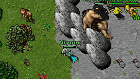 Miyoux on screen