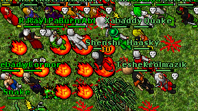 Shenshi on screen