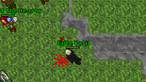 Elite Valji on screen