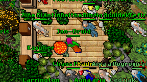 Jan-Druid on screen
