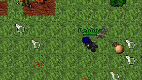 Rebboz on screen
