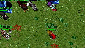 Gnap on screen