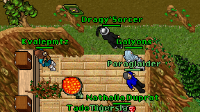 Dragy'Sorcer on screen