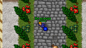 Drazeus on screen