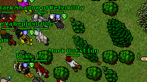 Mark Quest Ion on screen