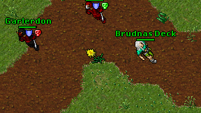 Brudnas Deck on screen