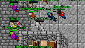 Ze Privada on screen