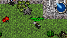 Vuge Fell on screen