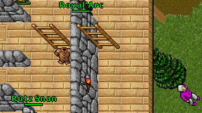 Royal'Arc on screen