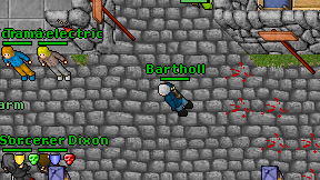 Bartholl on screen