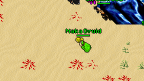 Maka Druid on screen