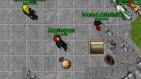 Amingan on screen