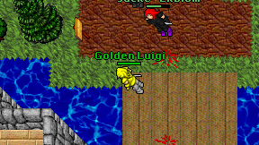Golden Luigi on screen