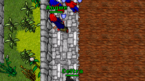 Celtra on screen