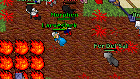 Larveslark on screen