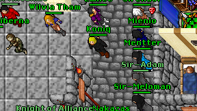 Koniq on screen