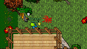 Desef on screen