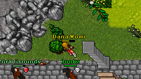 Dana Wowi on screen