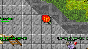 Lays Warrior on screen