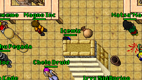 Icewiz on screen