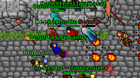 Nofej on screen