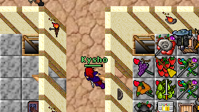 Kysho on screen