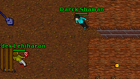 Darck Shaman on screen