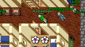 Xopadugo on screen