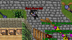 Butchardil on screen