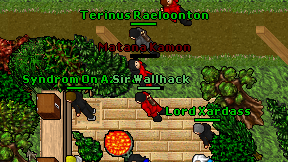 Sir Wallhack on screen