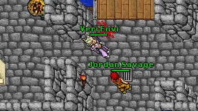 Veri Envi on screen