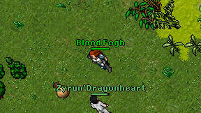 Blood Fogh on screen